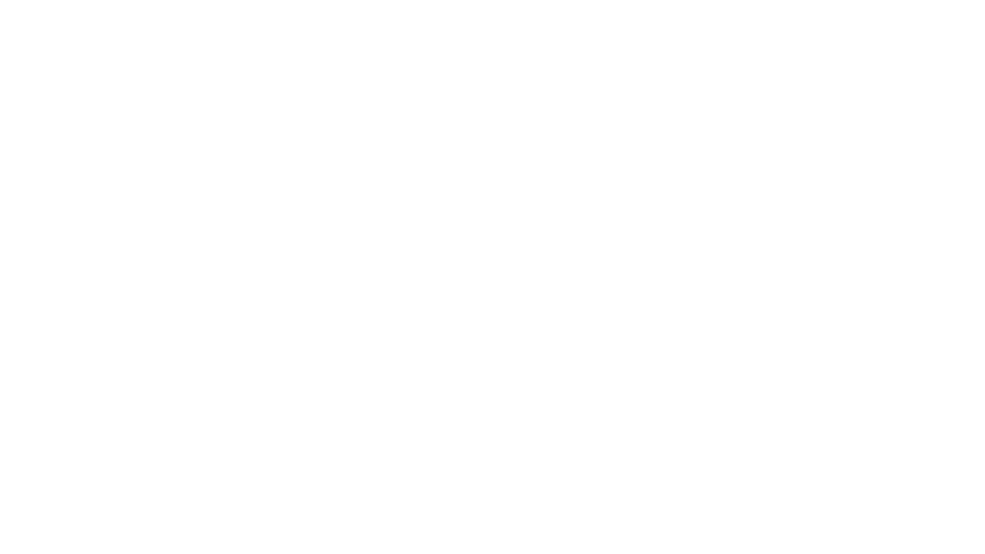SmartOne